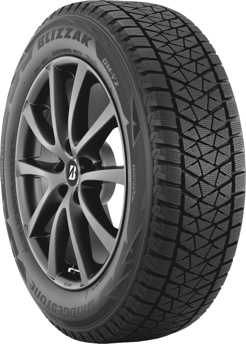 Bridgestone Blizzak DM-V2