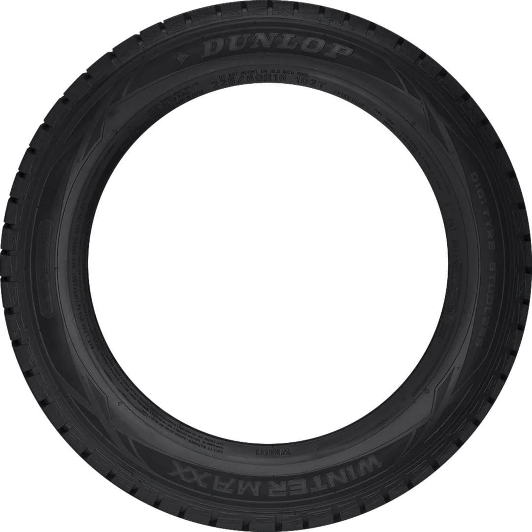 Dunlop - Winter Maxx 2