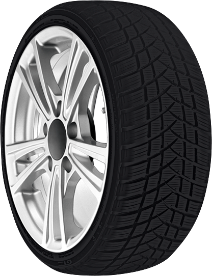 GT Radial - WinterPro2 Sport