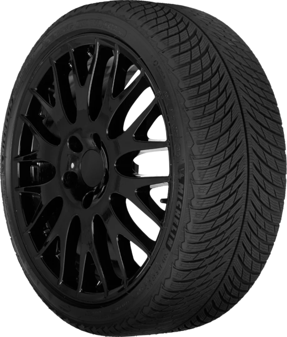 Michelin - Pilot Alpin 5