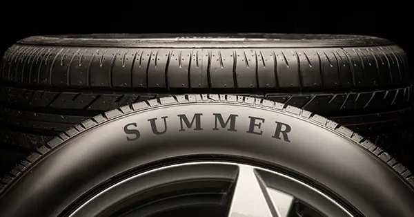 Our Summer's Favorites