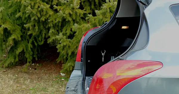 Ready for Spring Break? Here are the 5 essentials to have in your car!